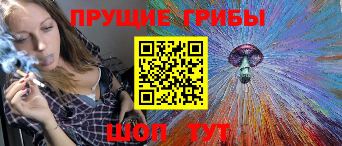 Псилоцибиновые грибы Psilocybe  Псилоцибиновые грибы Psilocybine cubensis  Вход с VPN  Всеволожск 